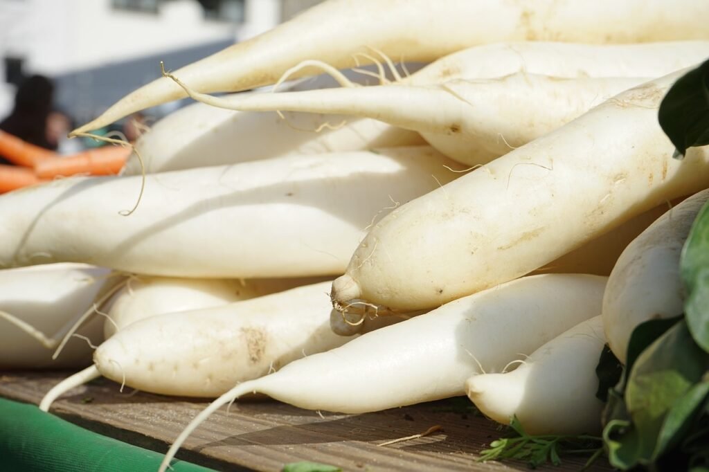 radishes, raphanus, white-318155.jpg