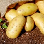 potatoes, vegetables, tuber-1585075.jpg