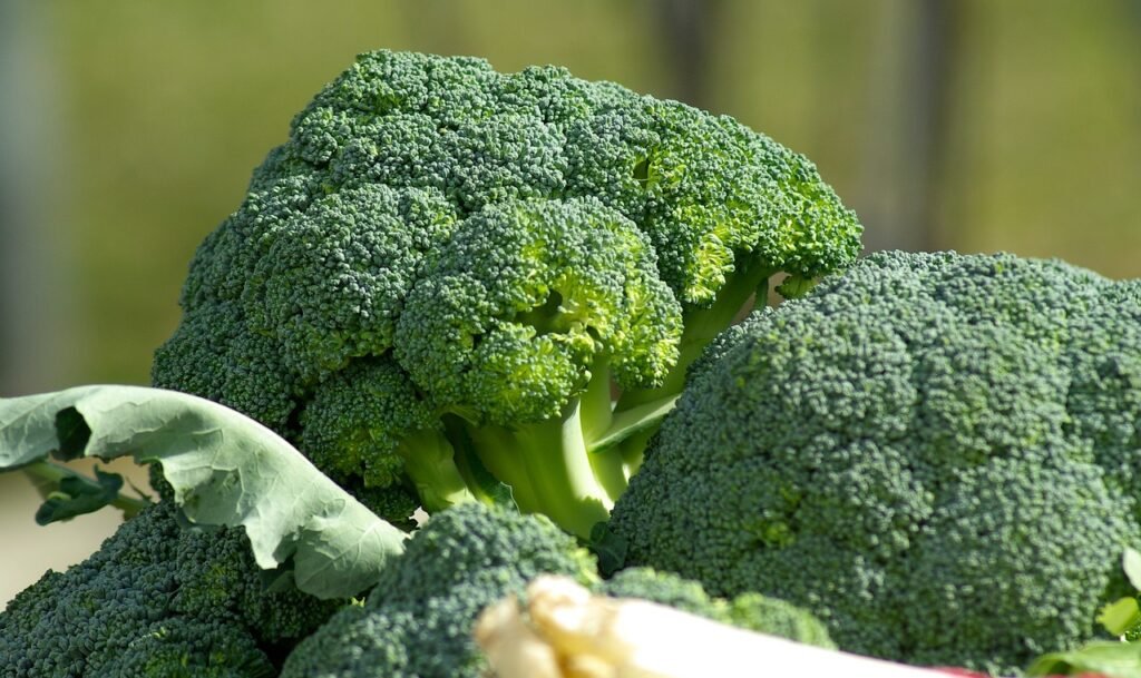 vegetables, broccoli, cabbage-673181.jpg