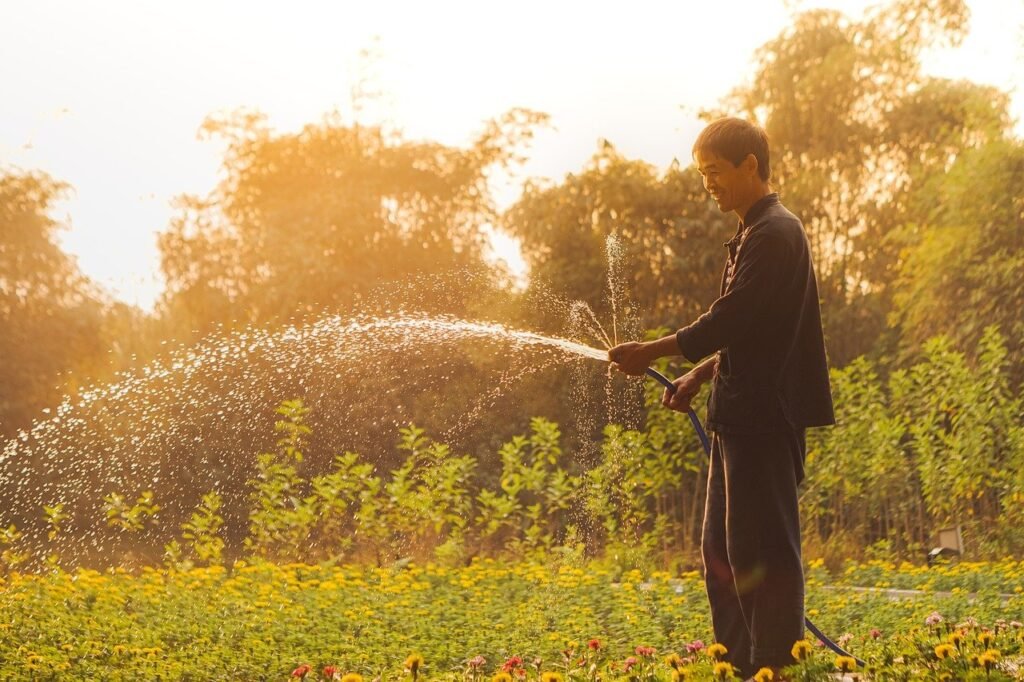 vietnam, man, gardening-8420602.jpg